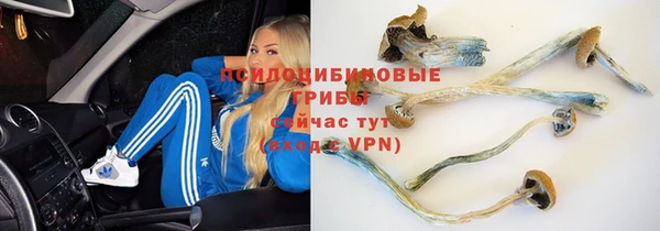 mix Армянск