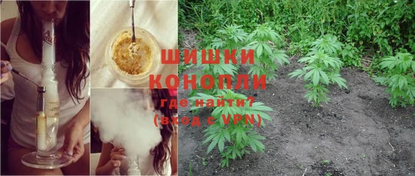 бошки Аркадак