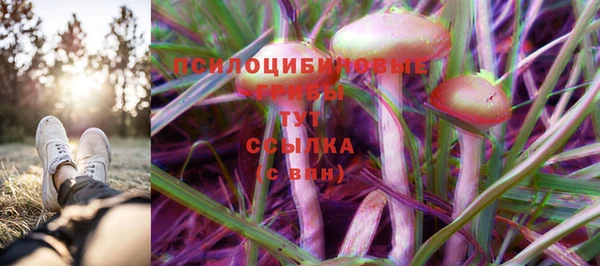 ALPHA PVP Арсеньев